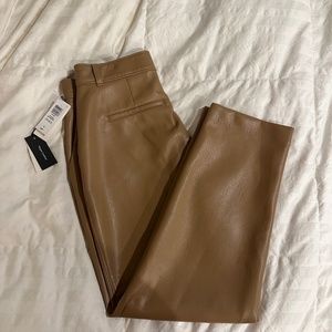 Aritzia Vegan Leather Babaton Command Pant